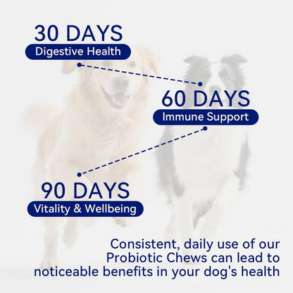 Delicious 8-In-1 Multivitamin Soft Chews for Dogs – Probiotics for Happy Tummies and Strong Immunity with Natural Pork Flavor