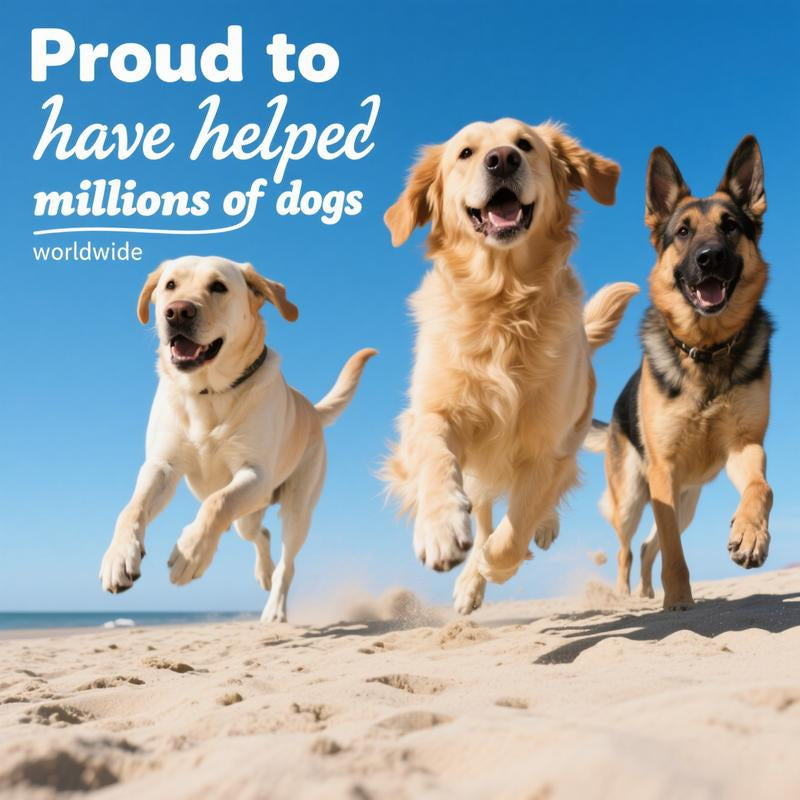 Delicious 8-In-1 Multivitamin Soft Chews for Dogs – Probiotics for Happy Tummies and Strong Immunity with Natural Pork Flavor