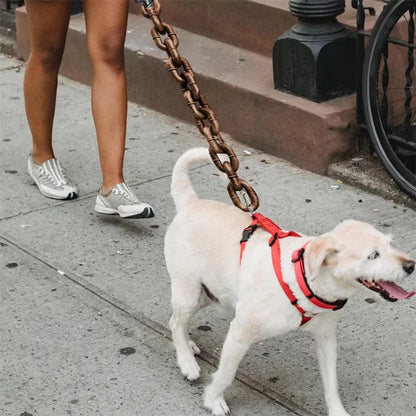 Unleash the Fun with Our Realistic Iron Chain Dog Leash - Perfect for All Breeds!