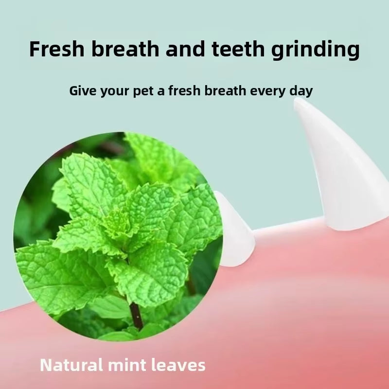 Exciting Catnip Ball Cat Toy - Durable, Bite-Resistant Fun for Kittens to Boost Playtime and Dental Health