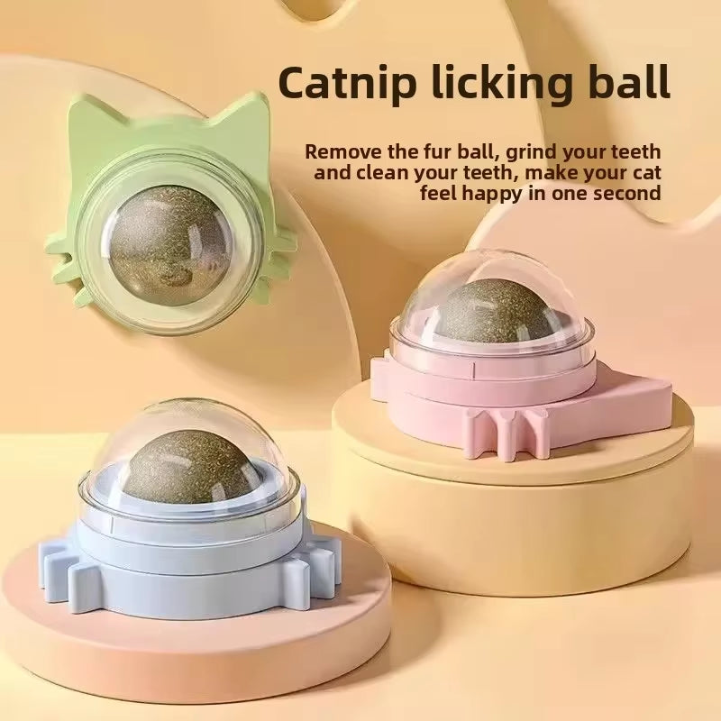 Exciting Catnip Ball Cat Toy - Durable, Bite-Resistant Fun for Kittens to Boost Playtime and Dental Health