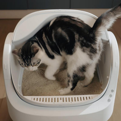 Revolutionary Petpivot Autoscooper 11: The Ultimate Self-Cleaning Cat Litter Box for Odor-Free Living!