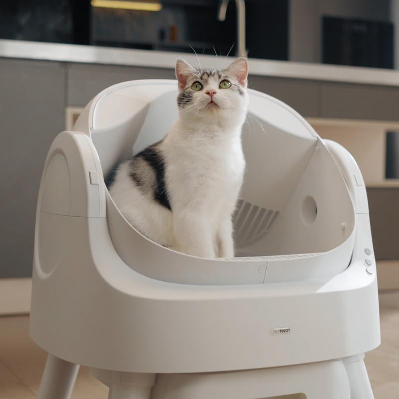 Revolutionary Petpivot Autoscooper 11: The Ultimate Self-Cleaning Cat Litter Box for Odor-Free Living!