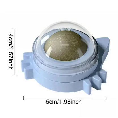 Exciting Catnip Ball Cat Toy - Durable, Bite-Resistant Fun for Kittens to Boost Playtime and Dental Health