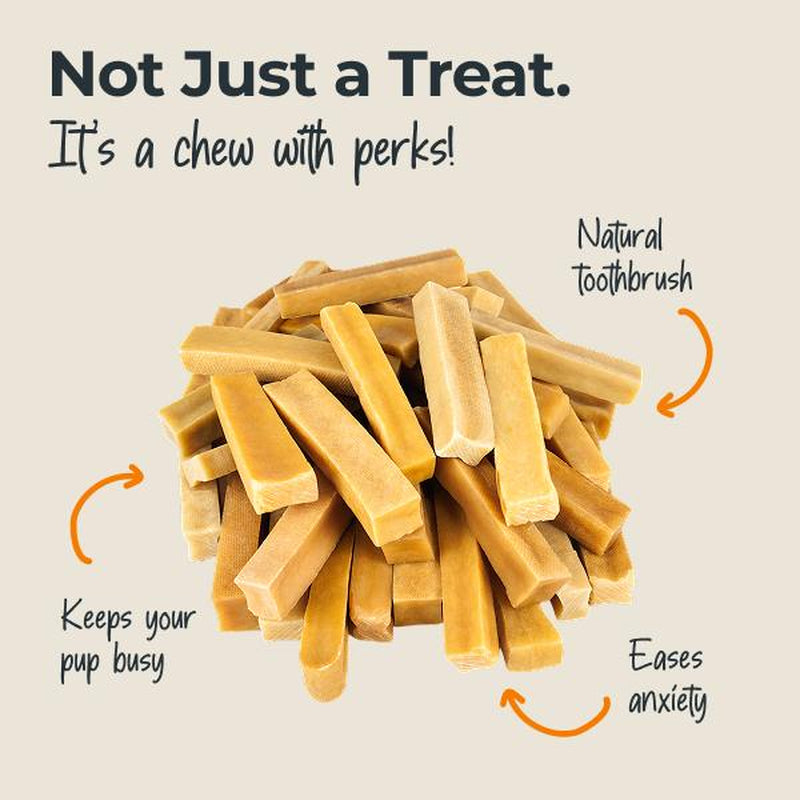 Mighty Paw Yak Cheese Dog Chews - Irresistibly Delicious All-Natural Treats for Your Beloved Pet!