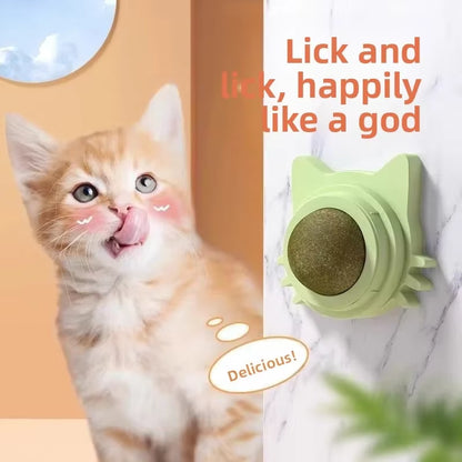 Exciting Catnip Ball Cat Toy - Durable, Bite-Resistant Fun for Kittens to Boost Playtime and Dental Health