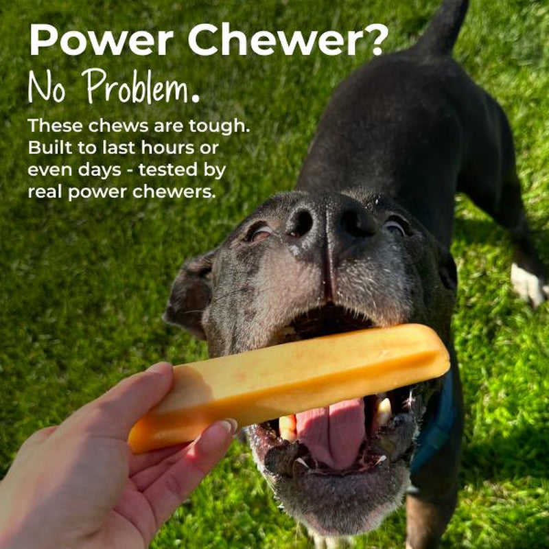 Mighty Paw Yak Cheese Dog Chews - Irresistibly Delicious All-Natural Treats for Your Beloved Pet!
