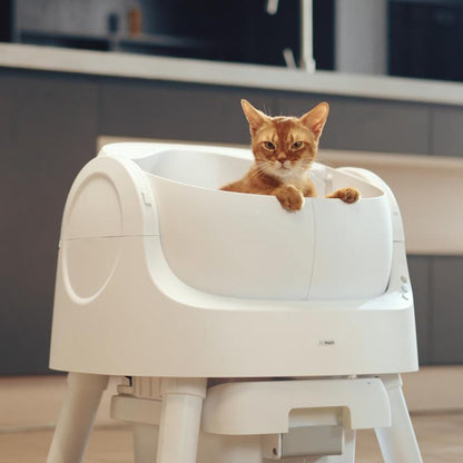 Revolutionary Petpivot Autoscooper 11: The Ultimate Self-Cleaning Cat Litter Box for Odor-Free Living!