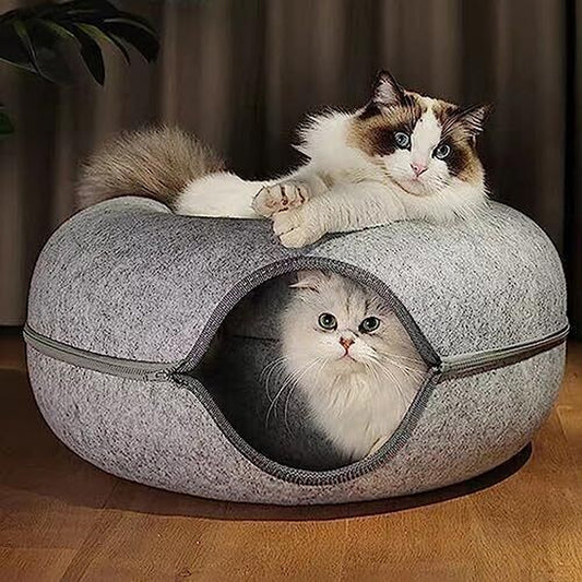Cozy Peekaboo Cat Cave & Tunnel Bed - The Ultimate Indoor Retreat for Your Feline Companion!
