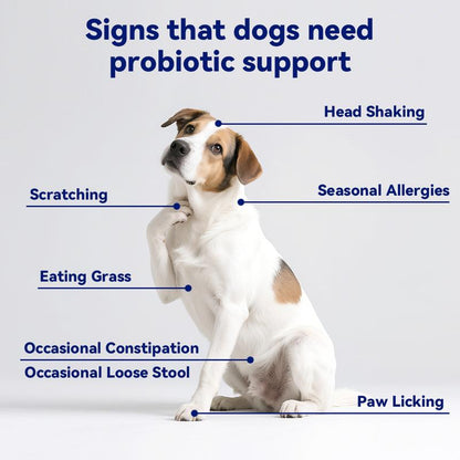 Delicious 8-In-1 Multivitamin Soft Chews for Dogs – Probiotics for Happy Tummies and Strong Immunity with Natural Pork Flavor